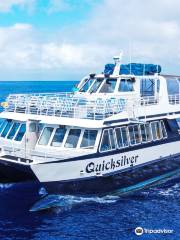 Quicksilver Maui Snorkeling Charters