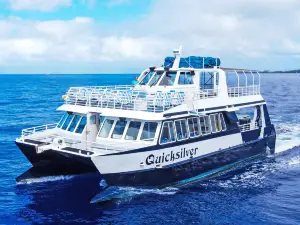 Quicksilver Maui Snorkeling Charters