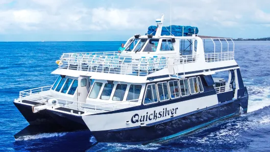 Quicksilver Maui Snorkeling Charters