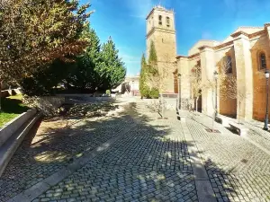 Concatedral de San Pedro