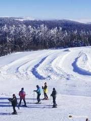 Nursery Tracks Ski Gérardmer