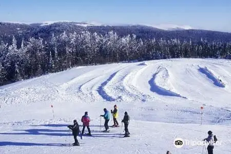 Nursery Tracks Ski Gérardmer