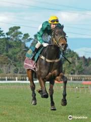 Te Kapua Racecourse