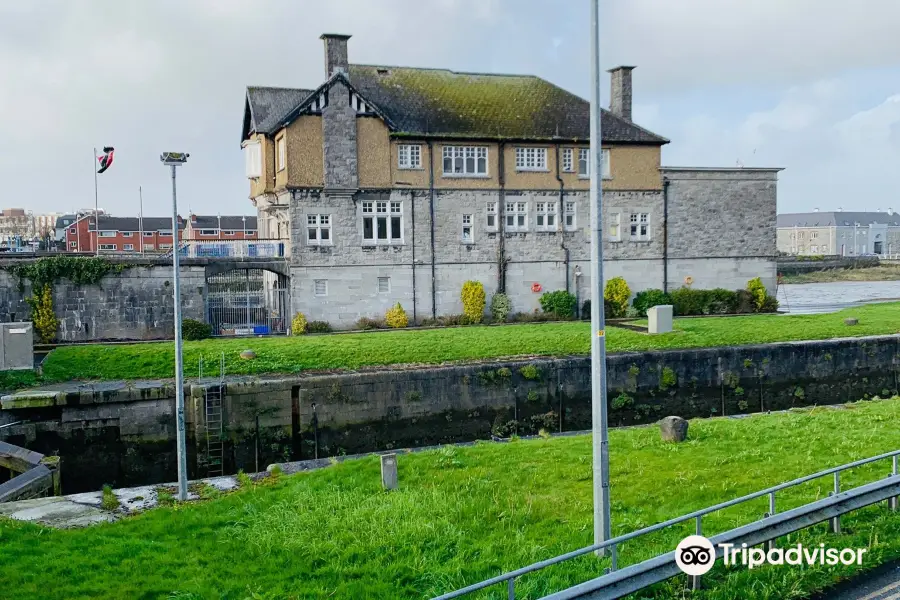 Sarsfield Bridge