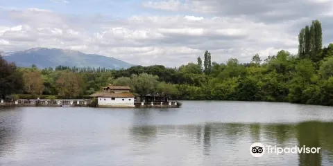 Selva di Paliano
