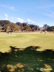 Campo de Ensuenos （Field of Dreams）