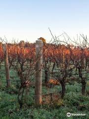 Brook Eden Vineyard