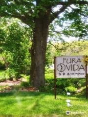 Pura Vida Spa