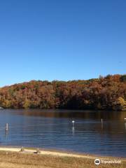 Coots Lake