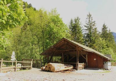 Ecomusée du Bois et de la Forêt