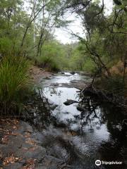 Greater Beedelup National Park