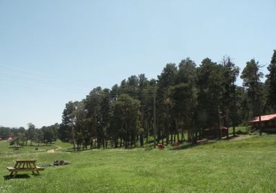 Yeni Mahallesi
