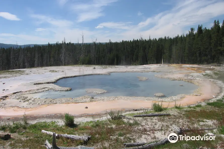 Solitary Geyser