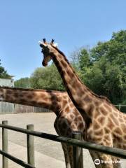 Zoo des Sables d'Olonne