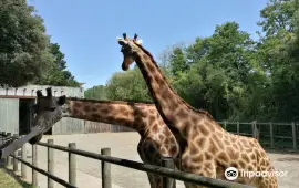 Zoo des Sables d'Olonne