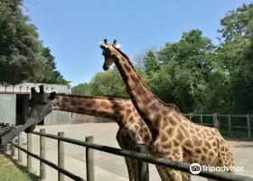 Zoo des Sables d'Olonne