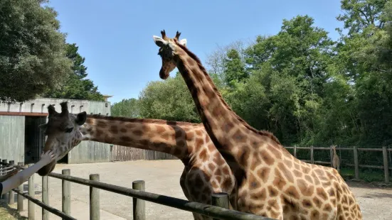 Zoo des Sables d'Olonne