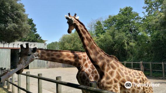 Zoo des Sables d'Olonne