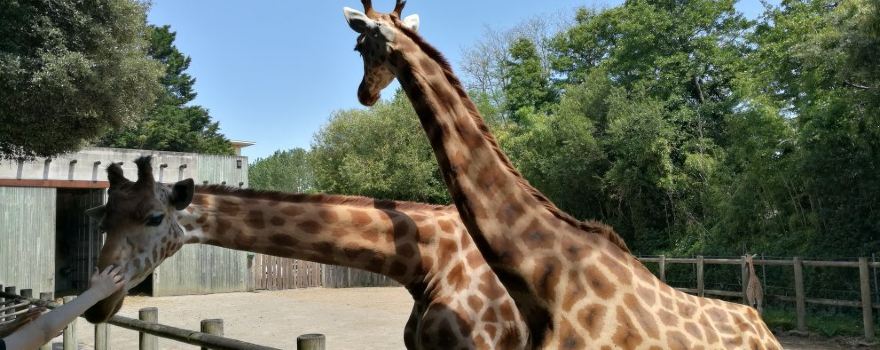 Zoo des Sables d'Olonne