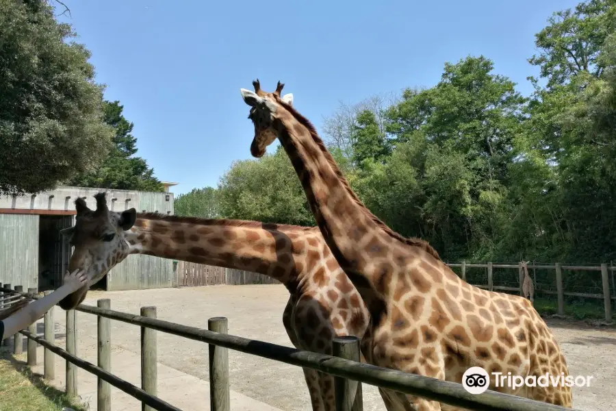 Zoo des Sables d'Olonne