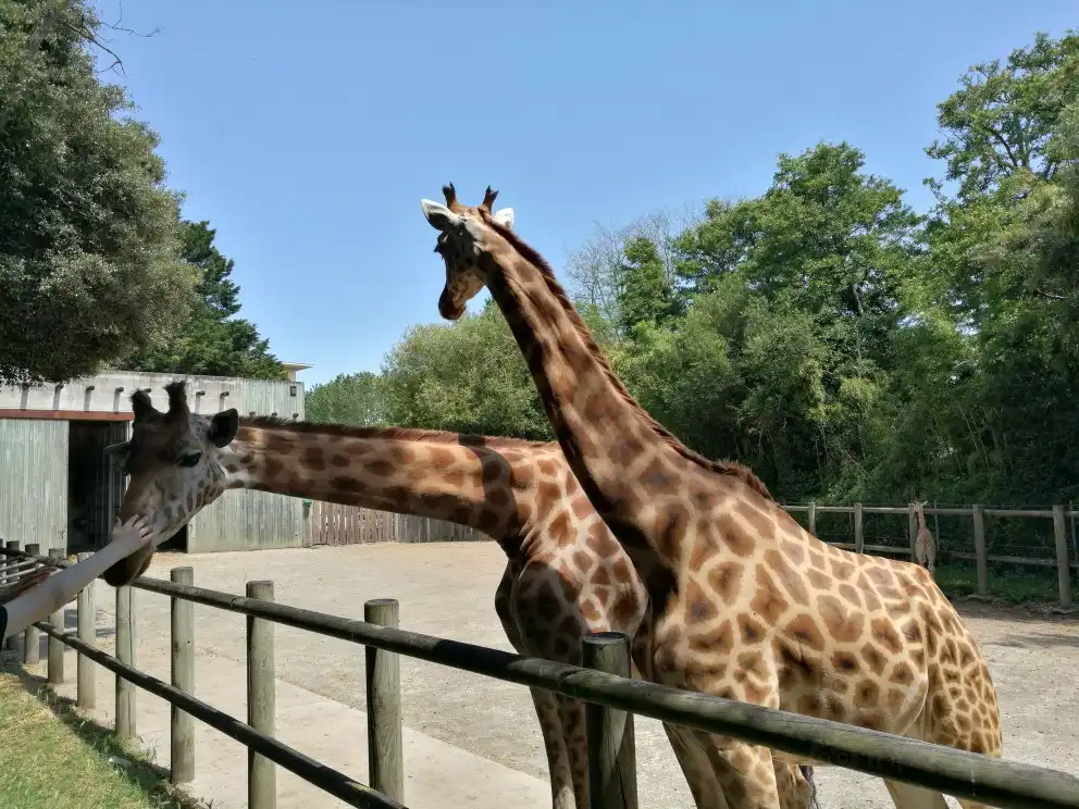 Hotels near Zoo des Sables d'Olonne