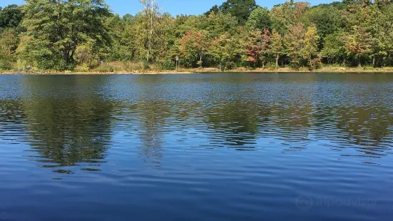 Nescopeck State Park