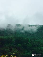 Baihe River Nature Reserve of Yanbian