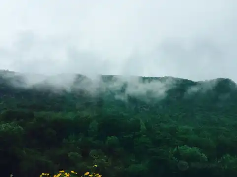 鄰近延邊白河自然保護區的酒店