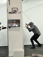 MontVR centres de jeu de réalité virtuelle (Saint-Denis)