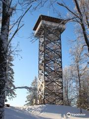 Delinkalns watchtower