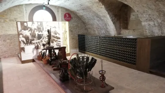 Museo del Vino