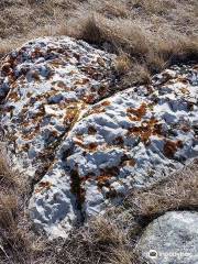 Majourville Cairn and Medicine Wheel