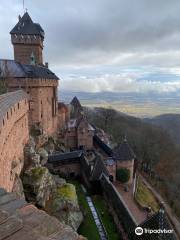 Château du Haut-Ribeaupierre