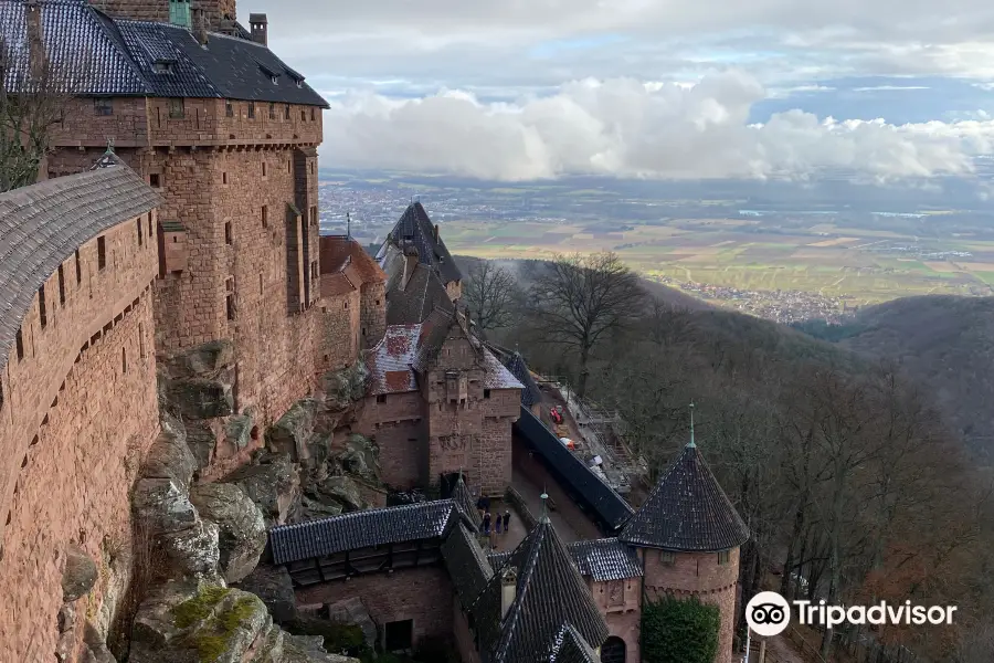 Château du Haut-Ribeaupierre