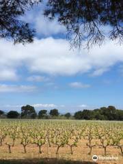 Domaine de la Courtade - Vins de l'île de Porquerolles