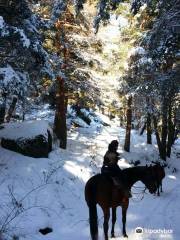 Horse Riding Madrid -Jarahonda