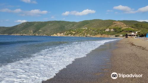 Spiaggia di Lacona