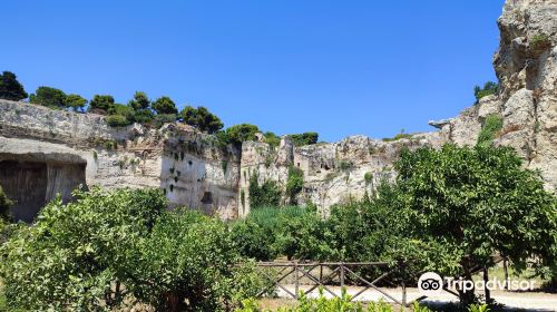 Syracuse Roman Amphitheater