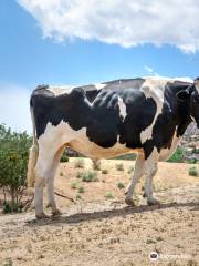 Farm Sanctuary