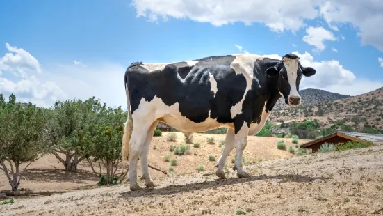 Farm Sanctuary