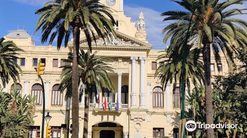 Malaga City Council Building