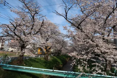 瀧宮神社