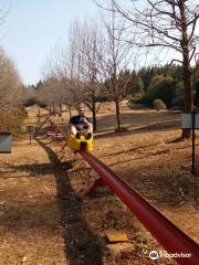 Long Tom Toboggan at Misty Mountain