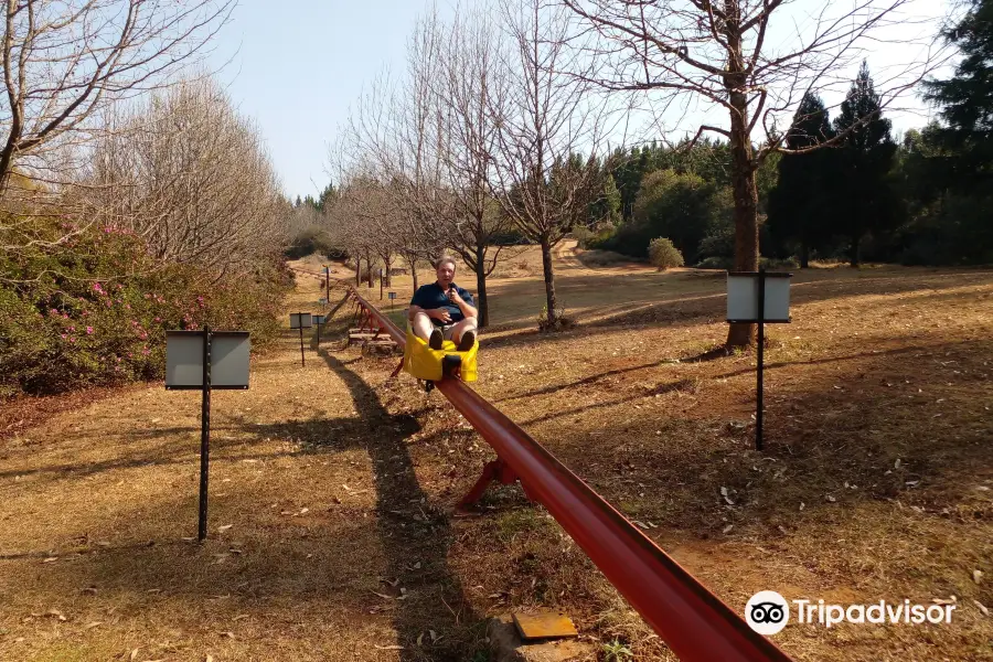 Long Tom Toboggan at Misty Mountain