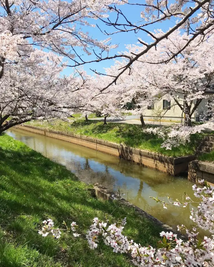 美里町住宿飯店