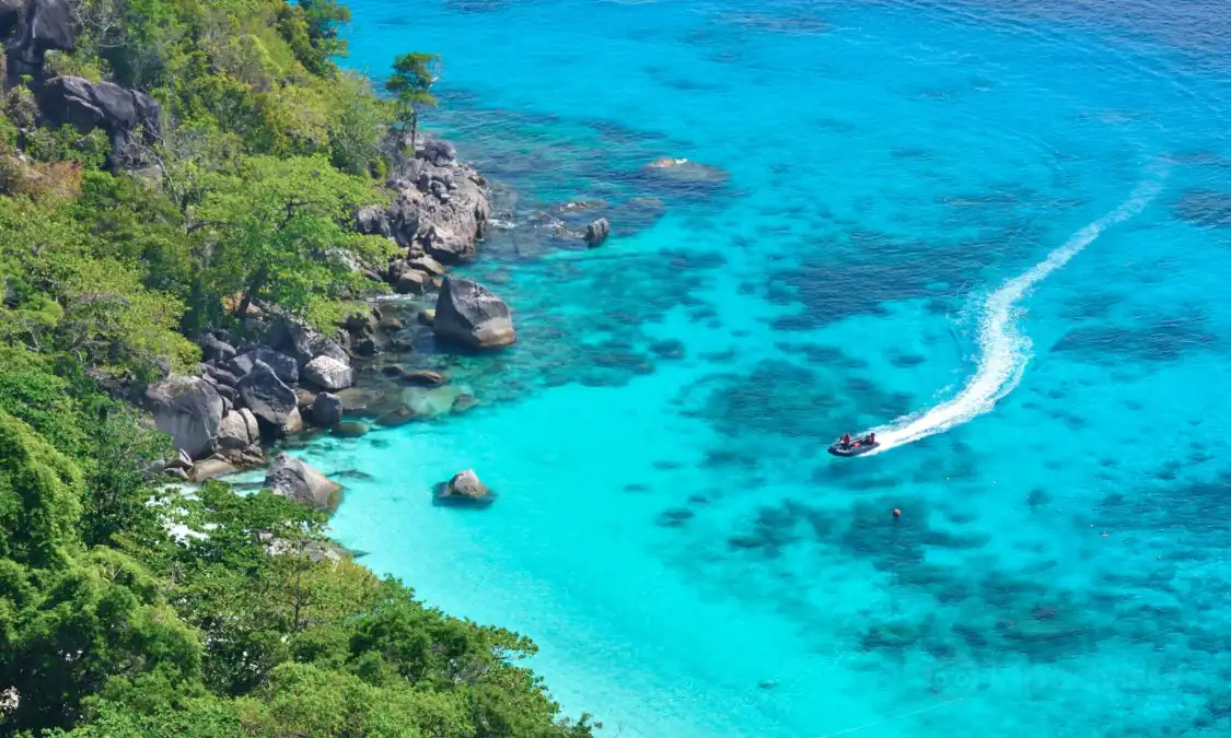 Hotels near Exotic Voyages