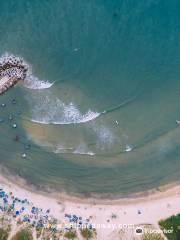 Mui Ne Local Surf School