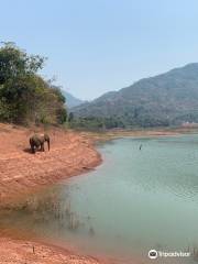 Vang Vieng Elephant Sanctuary Office