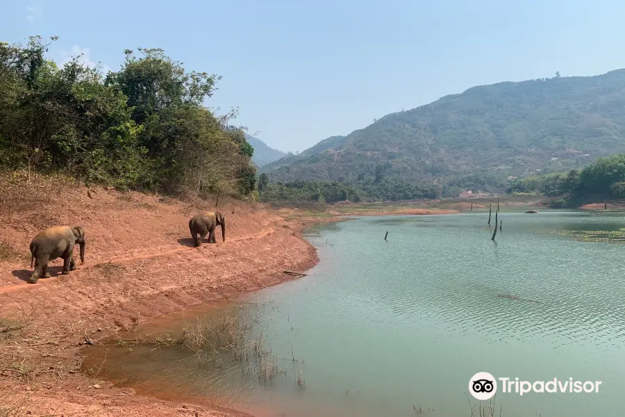 Vang Vieng Elephant Sanctuary Office