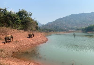 Vang Vieng Elephant Sanctuary